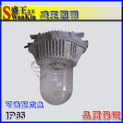 防爆高顶灯产品分类